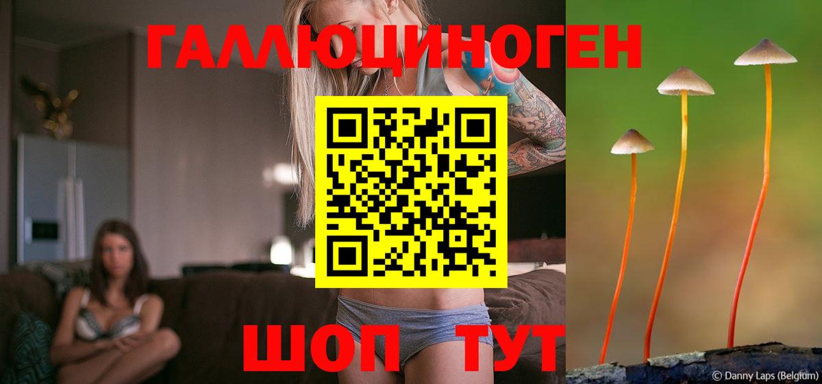 Спасск-Дальний  Псилоцибиновые грибы GOLDEN TEACHER  Псилоцибиновые грибы ЛСД  Вход с VPN 